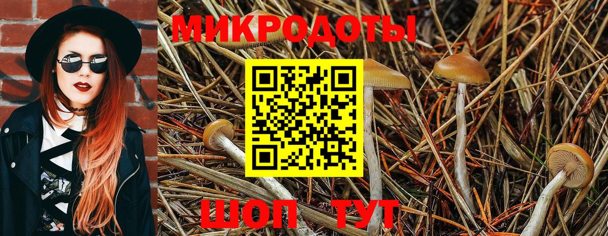 Галлюциногенные грибы Psilocybine cubensis  Вход с VPN  Галлюциногенные грибы Cubensis  Ижевск 