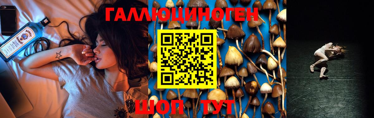 Галлюциногенные грибы Magic Shrooms Ижевск